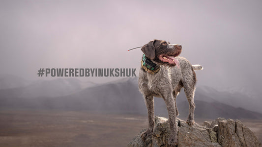 Inukshuk Professional Field Ration - 26/16